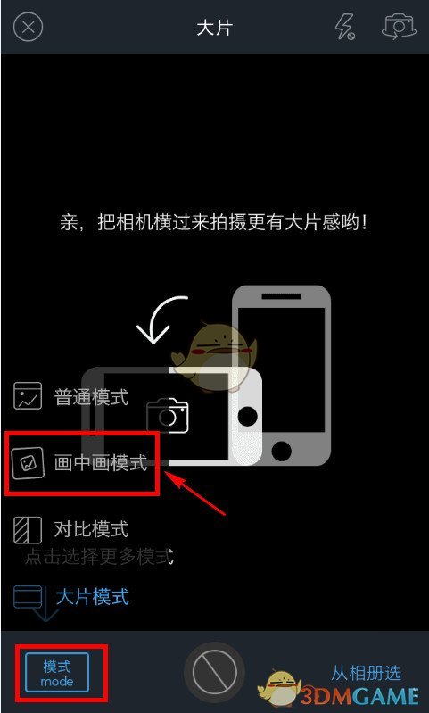 藏马熊长得好像大熊猫